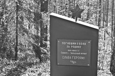 Вахта памяти - 2012. Демянский котёл.