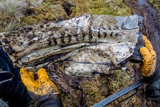 Поисковый отряд 