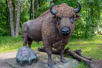 Достопримечательности Подмосковья. Приокско-террасный заповедник