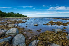 Белое море, Карелия