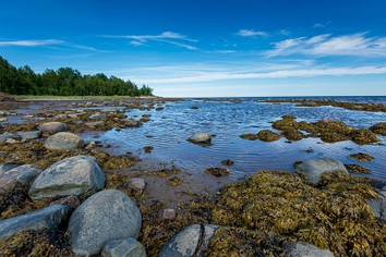 Белое море, Карелия