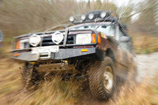 Охота на лис 2009, окрестности Балабаново