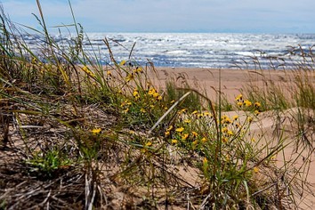 Заповедники Карелии