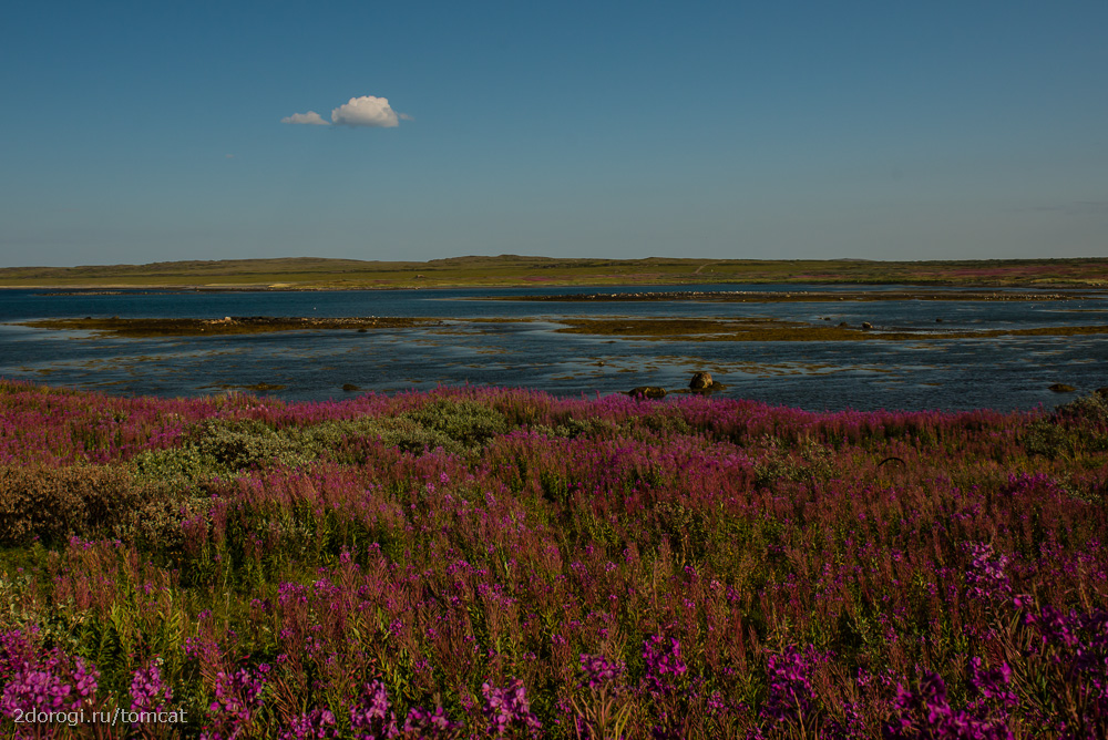 Автопутешествие на полуостров Рыбачий. Лето 2013 года. Часть 4 Автопутешествие на полуостров Рыбачий. Лето 2013 года. Часть 4
