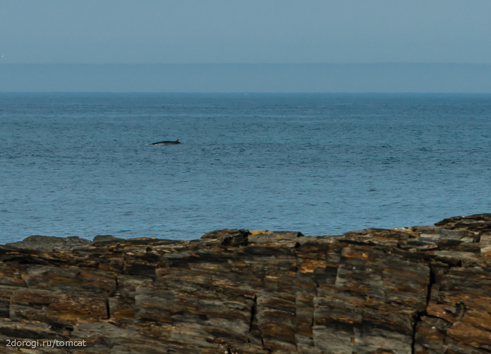 Автопутешествие на полуостров Рыбачий. Лето 2013 года. Часть 4 Автопутешествие на полуостров Рыбачий. Лето 2013 года. Часть 4