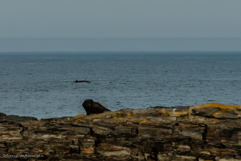 Автопутешествие на полуостров Рыбачий. Лето 2013 года. Часть 4