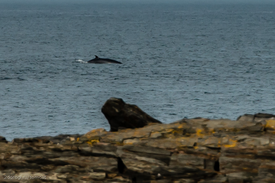 Автопутешествие на полуостров Рыбачий. Лето 2013 года. Часть 4