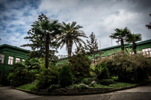 Дача товарища Сталина