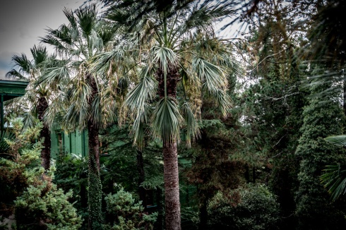 Дача товарища Сталина