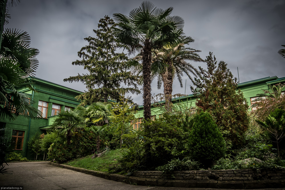 Дача товарища Сталина