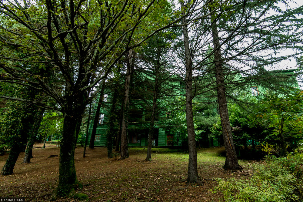 Дача товарища Сталина