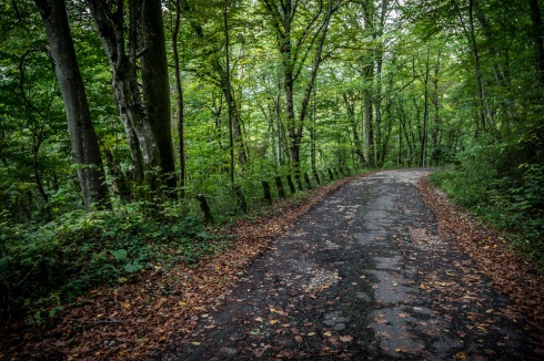 Дача товарища Сталина