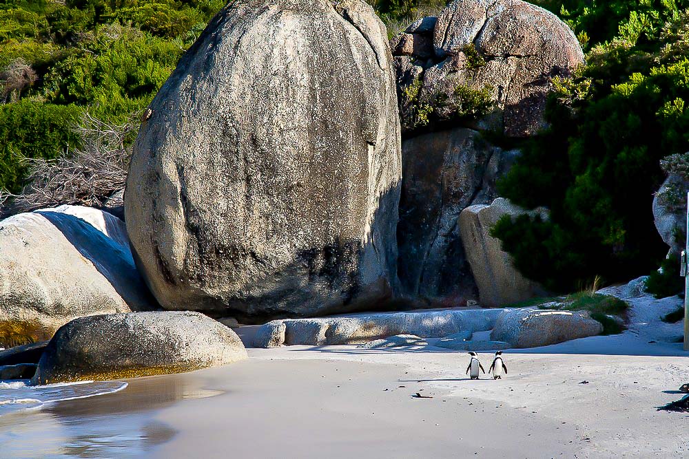 Кейптаун и мыс Доброй надежды.