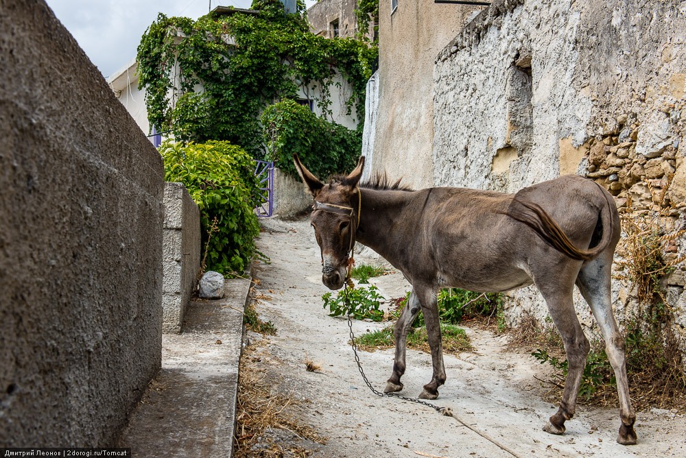 Античная Полириния Античная Полириния