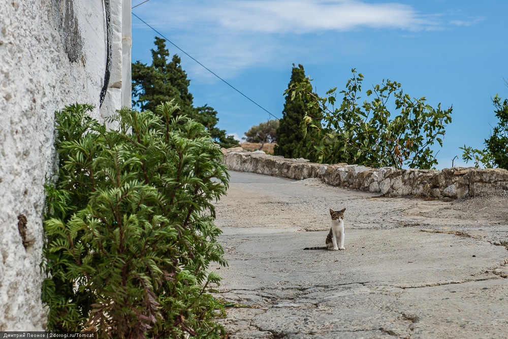 Античная Полириния Античная Полириния