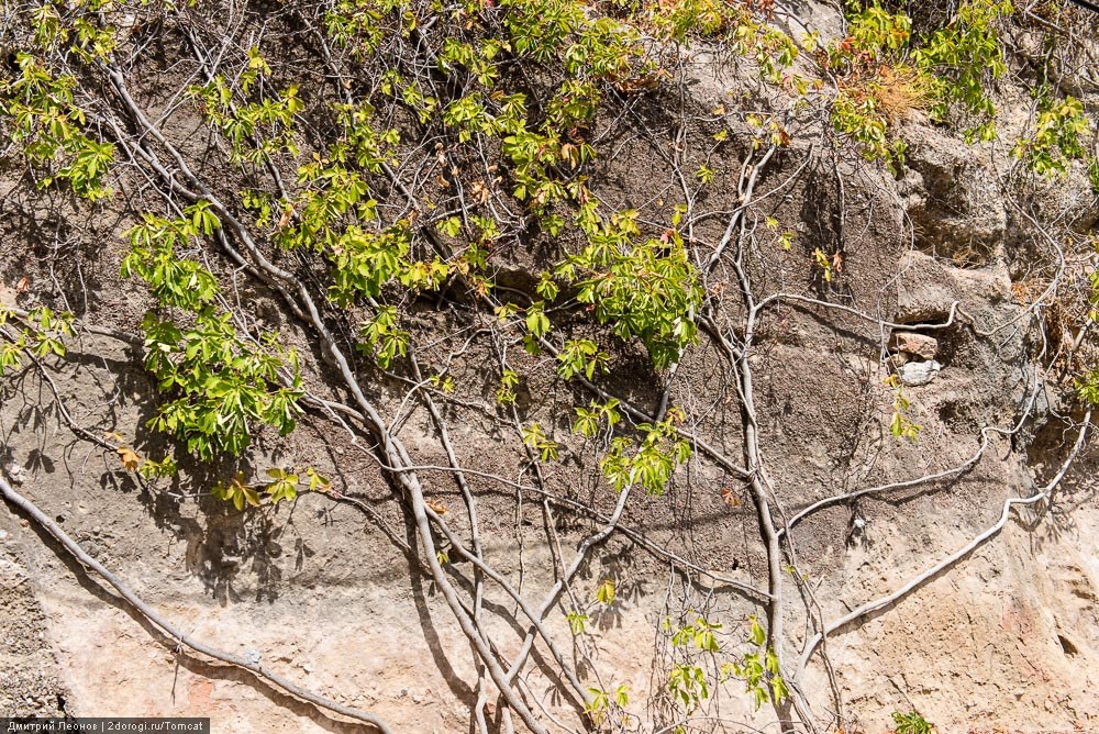 Античная Полириния Античная Полириния