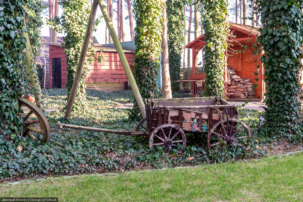 Сиеста в зимней Польше