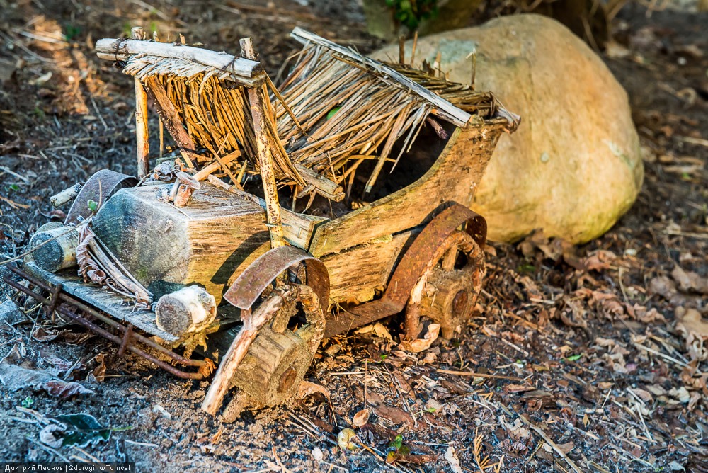 Сиеста в зимней Польше