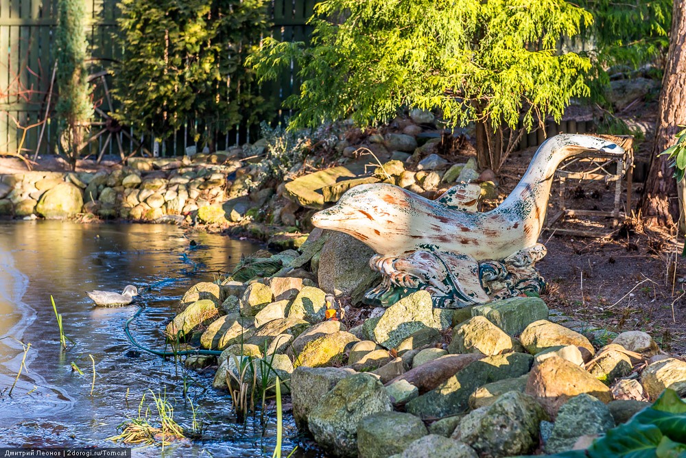 Сиеста в зимней Польше